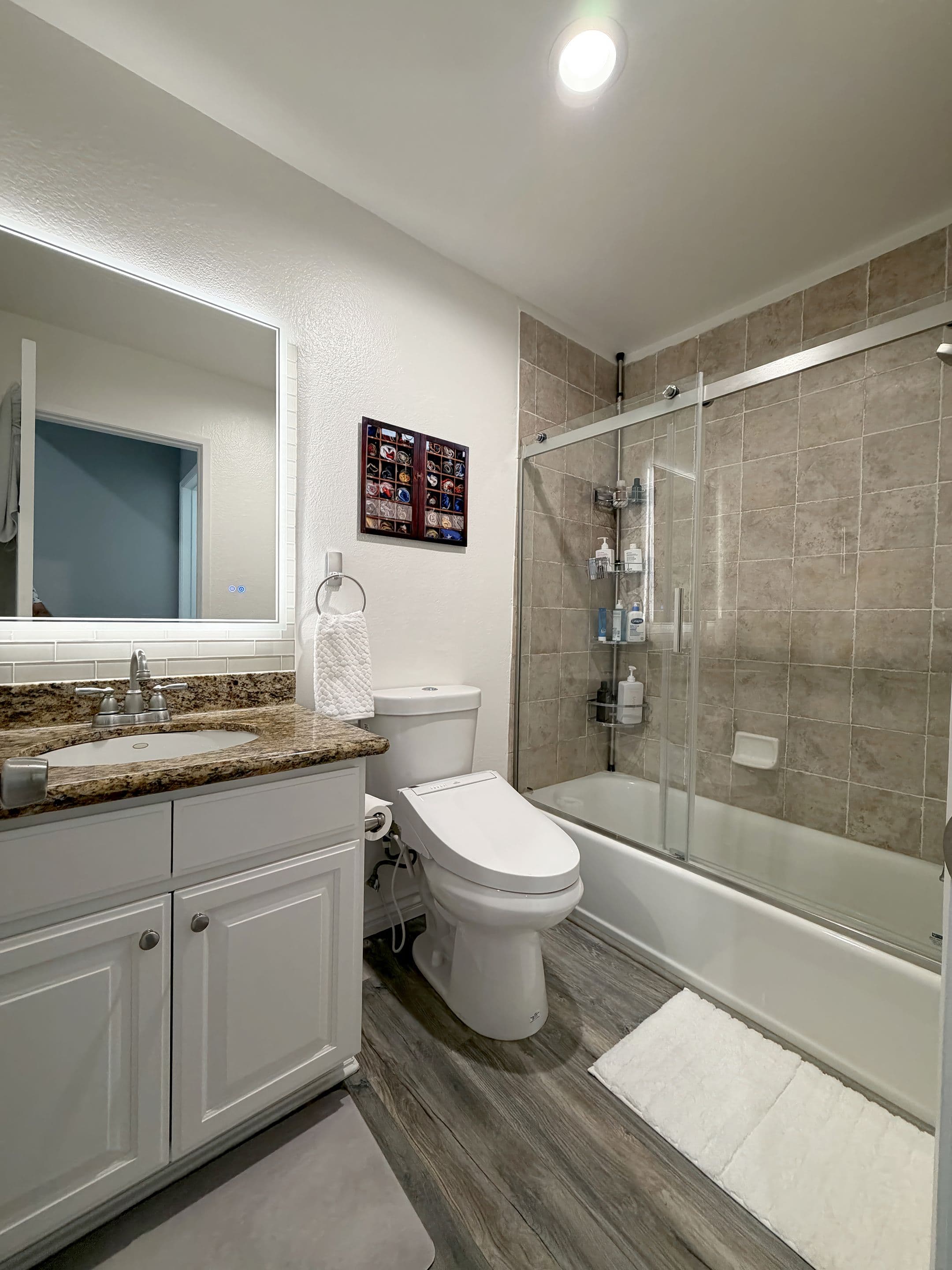 Primary bathroom