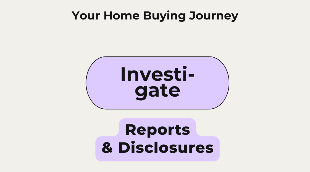 Property Reports and Disclosures: Understanding The Important Information About Your Future Home
