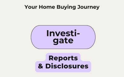 Property Reports and Disclosures: Understanding The Important Information About Your Future Home
